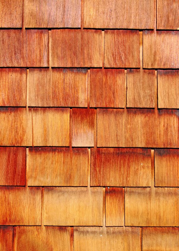 Wood Siding Replacement in Spring City, TN