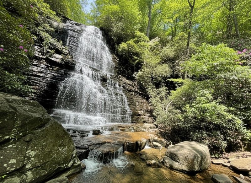Delano, TN